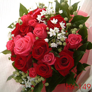 ban gai, love vietnam , hoa tinh yeu, hoa saigon, vietnam flower, birthday flower, flower to vietnam, vietnam flower, vietnam flower shop, flower shop in vietnam, delivery flower to vietnam, flower of vietnam, tiem hoa, tiem banh, goi tien, flower in vietnam, vietnam and flower