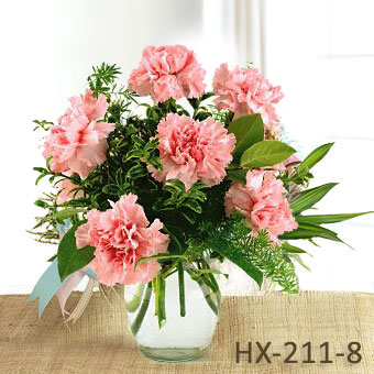 vietnam flower, carnation , vietnam , saigon, saigon gift shop, vietnam florist, vietnamese florist, send flower to vietnam, flower of vietnam, ban gai, tim ban gai, goi tien<br>